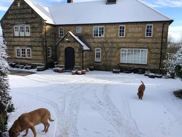 Whiteways Farmhouse Buckland Newton 외부 사진